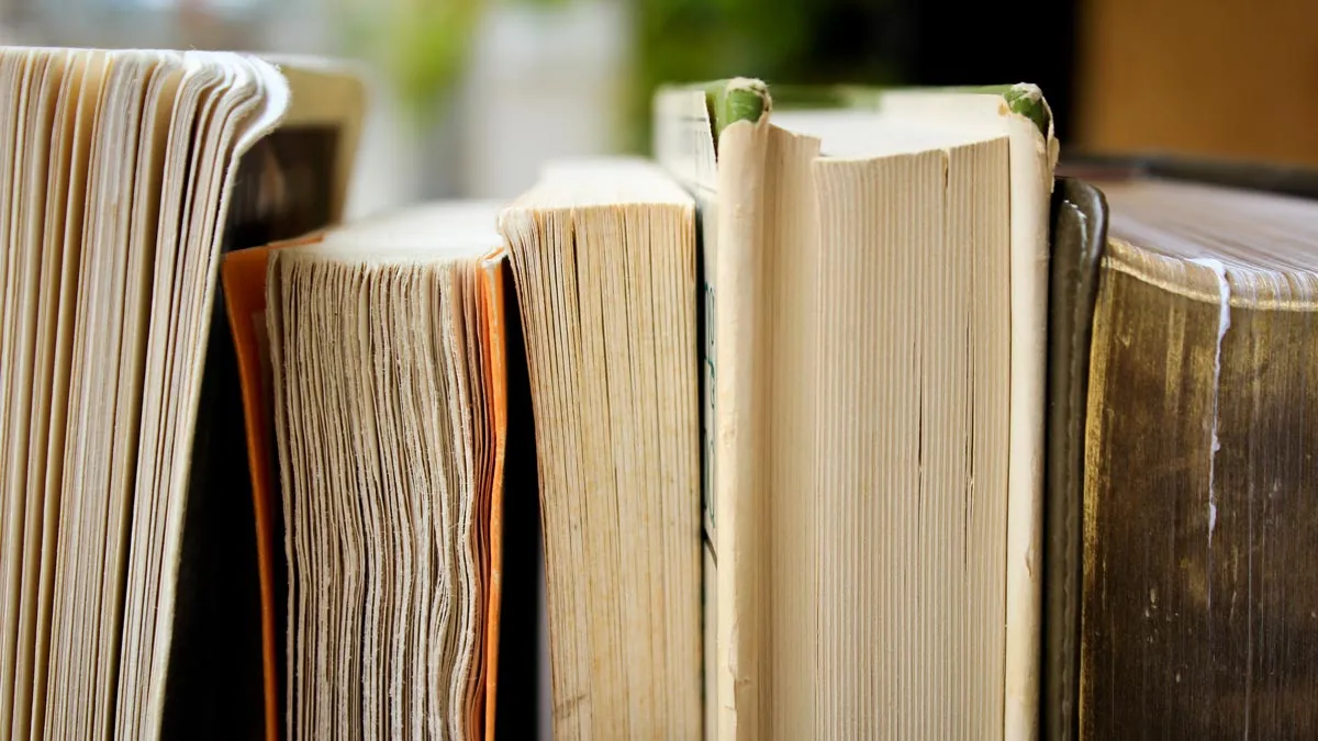 Buku Bahasa Pasar dan Papa Kedana: Kesan Karya kepada Pembaca